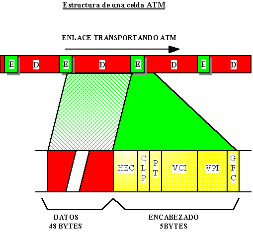 wpe12.gif (10108 bytes)